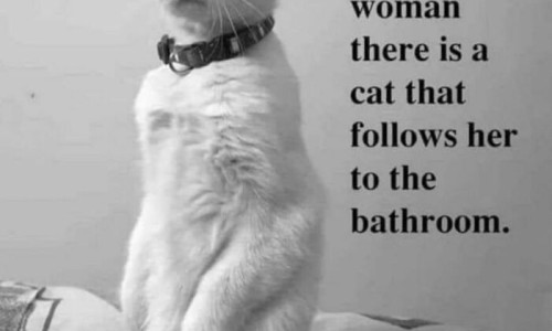 蜜百部和百部一样吗-蜜百部和生百部的区别网 - 为你提供百部和蜜百部的功效与作用、蜜百部和百部哪个更好